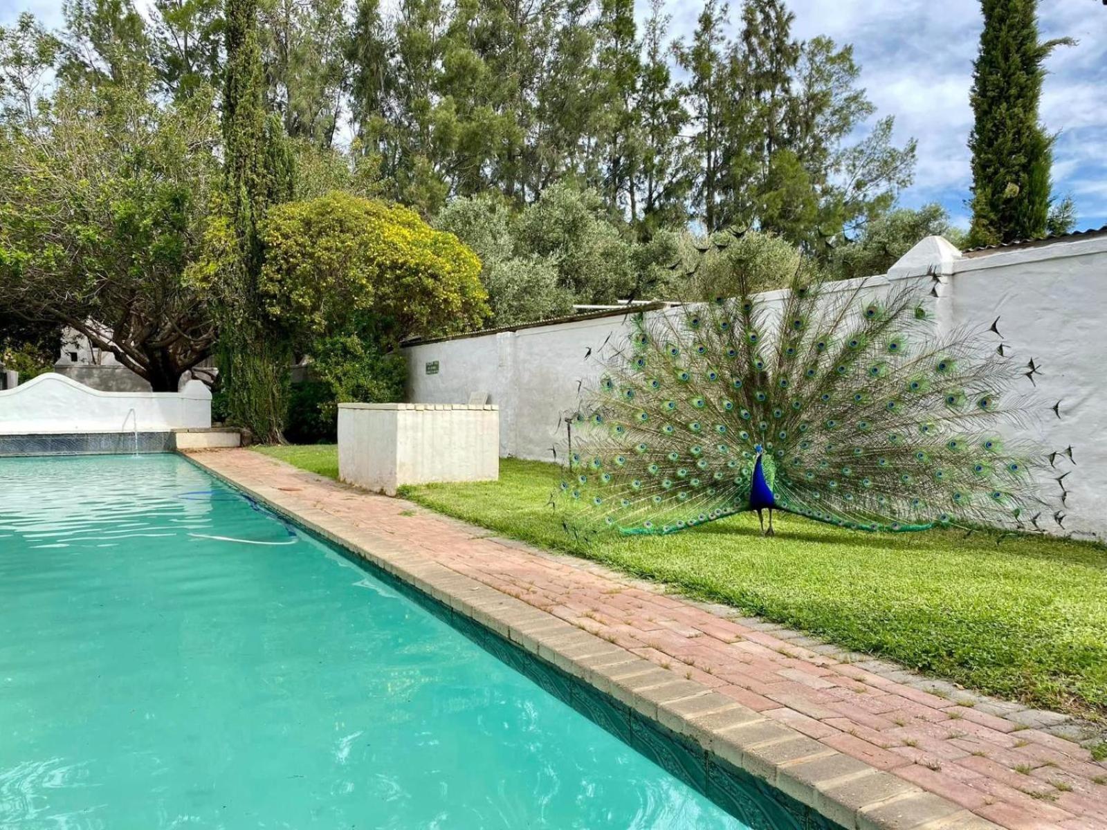 Temenos Retreat Hotel McGregor Luaran gambar
